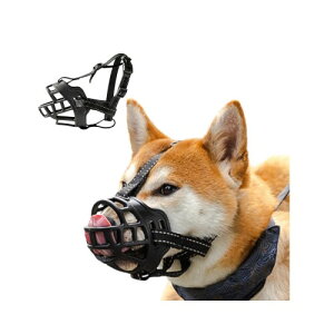 Letics p }Y  i EH ʖi ݂ r h~ ̌Ppi  \tgf (S)
