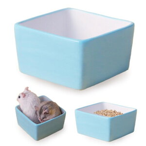 YOURAKU nX^[t[h{E a 1 Z~bN  萫 H ETM  bg KiE݂j