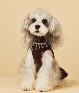  ybg ̎qp p[X wSXJ[g ^ ^p hbOEFA tďHp _Ch 킢  LOBe o m (XL)