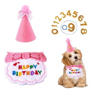  a Xq happy birthday o_i 悾ꂩ t  ybg a Xq t aObY  t^I ߉\ LO p[eB[ (Y sN)