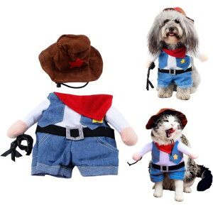 Kingsie ybg RXv  L nEB NX}X ʔ 킢 JE{[C 2s W[ RX`[ ^ ^  ϐg Mtg (S)