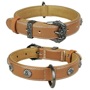 Beanspet AeB[NpU[ ^E^p }CNt@Co[ hbOJ[ XS`LTCYWJ (STCY, uE)