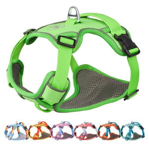 Paipeper  n[lX ^ ^ ^n[lX p  hbOEGA h~ Ԕ p \ ȒP  UiO[SSj