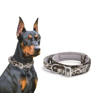   iC \ nht P  ^ ^ т U pP (ʃO[, S)