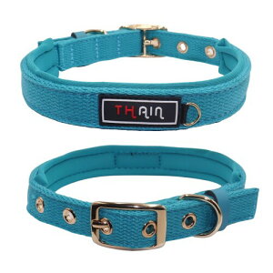 THAIN   x[VbN 5 ߉\  킢 ̎ ʂт obN ^p (u[, S)