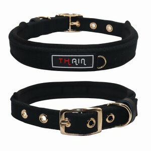 THAIN   x[VbN 5 ߉\  킢 ̎ ʂт obN ^p (ubN, L)