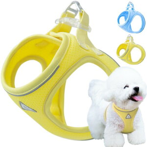  n[lX bV ^ELp yʁEʋC 3Mˍ A~ ^ɂœK ȃCG[iyellow M