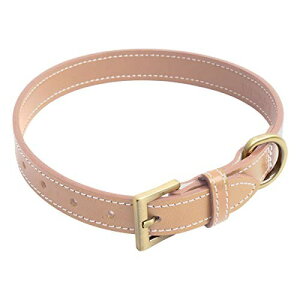 (tBJ)   ^ ^  C^AU[ {v S M L ybg v[h P ̎ MTCY x[W