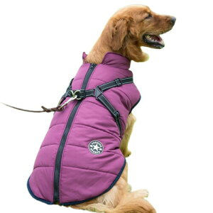 JPETTO ~ ybg R[g WPbg ̕ _ER[g V n[lXt wJ {A h h hbOEFA ȕR[g ȓ xXgWPbg ̌^ȓ