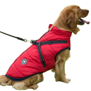 JPETTO ~ ybg R[g WPbg ̕ _ER[g V n[lXt wJ {A h h hbOEFA ȕR[g ȓ xXgWPbg ̌^ȓ