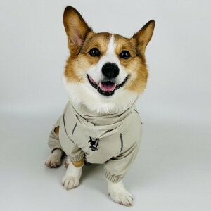 R[M[p  CR[g pCR[g JH Jbp J CEFA p hbOEFA hbO  h  GȂ U ł ₷ v[g Mtg (Beig