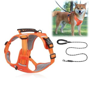 GIIPET-pn[lX [ht 2-45KGΉ p ̎\tg h~ Ȃ ʋC ȒPE TCY\ ˋ@\ S ֑ ^/^/^ p P