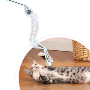 HOLYCAT L 炵 L  t lV  Lk̒ނ XgX ^s _ To ^ Ru L  T} t̔L炵 L