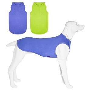 Kickred ̃Vc ĕ  ʋC ėpxXg  _炩 ΍ p^Ngbv O Ă΍ 畆ی  ی X|[cEFA JWA Lk pW} 