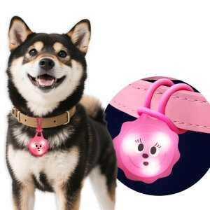 (LaRoo)  Cg Up |Cg ÈłŌւ́Aybg̖Ԃ̎UƂ猢L̊Oo h ߉\ Ȍ y ^`^ybgpi (sN)