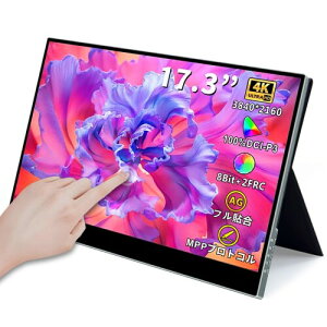 Corkea oCj^[4K^b`@\ 17.3C` 3840X2160𑜓x  oCfBXvC  mOA S\XN[IPS pl P3 100%F ^ y USB Type-C/Mini HDMI Q[