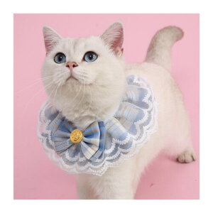 AQUALOACH Lp[XtJ[ lN^Ct `FbN PlX^C 悾ꂩp  ANZT[ ^ELpiBeEp[eB[Ev[gɍœKj (u[, S