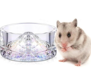 DIFEIUKI nX^[  EH[^[{E KX{E NA xmŘ` ybg {E ڂɂ aM //CR/nlY~/nX^[/WKA ^yb