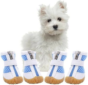 hbOu[c C hbOV[Y ybǧC ~ h JC ^ ^u[c  ʋC _炩 y V[Y S ʋC bV C J̓ ₷  