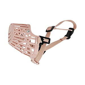 ENN LLC p }Y  ʖih~ EHh~ ݂h~ ^p (1)