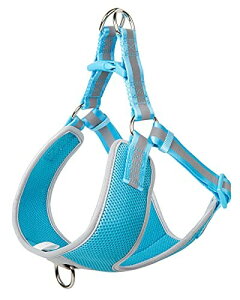 PetiFine p n[lX ʋCbV  y Px ^ ^ \ Ee XS Cgu[