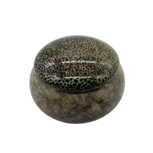 COZENTA  ~j ybg 茳{ ⍜  Z~bN ( zCg)