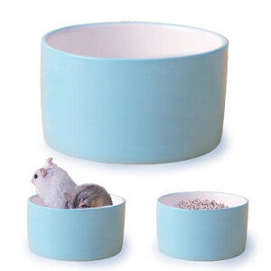 YOURAKU nX^[t[h{E a 1 Z~bN  萫 H ETM  bg Ki܂E݂j