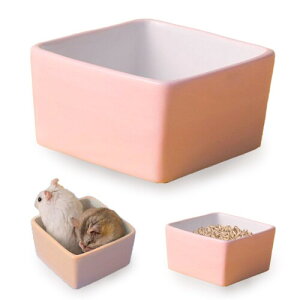 YOURAKU nX^[t[h{E a 1 Z~bN  萫 H ETM  bg KiEj