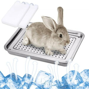 Ă̂xbh  XM ̗ObY ybgėpxbh p}bg ɓKp MǑ΍ ΍ nX^[ bgA~NA`` xbh 