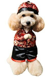 ybgpbg  L RXv nEB ybg  ϑ  ^ ^ ^ 2s (`Ci, XL)