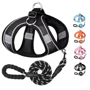 ybgpn[lX^ ^ n[lX [hZbg [v [hZbg^̃n[lXLp ˌXgbvt bV  ߉\ U EȒP