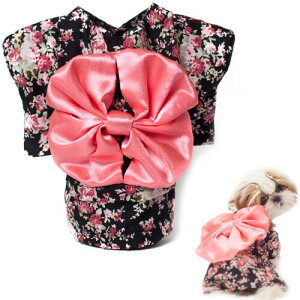 RAINNI ybg a p Ղ { ԕ {^ U L     D   (sN, XL) (ubN, L)