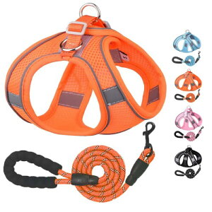 ybgpn[lX^ ^ n[lX [hZbg [v [hZbg^̃n[lXLp ˌXgbvt bV  ߉\ U EȒP