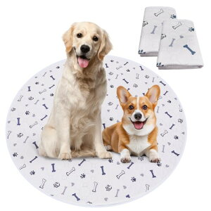 Para Sora 􂦂 ybgV[c ی^ L p 2Zbg(a90cm)  ~ h ybgV[c p`ybgT[NɍœK  z L V[c ld\ Rh~ 