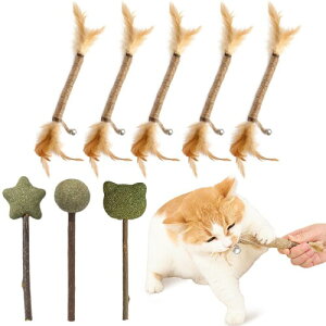 CANPLUS L  ނ ʂ ܂т̖ (5{j+Lbgjbv(3{j lC  _ ރXeBbN lV ܂ Lbgjbv 