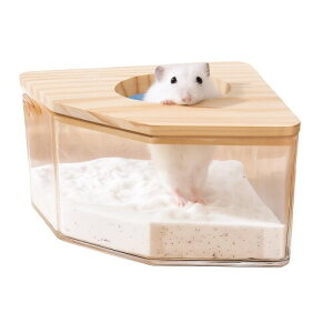 JFOLKS  gC юUh~݌v 􂢉\ fUC P[Wp p nX^[pi 2 R[i[^