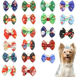  wAS { 20Zbg   wA{ NX}X   wAANZT[  ybg  S wAoh F