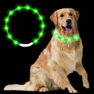 Sazuik ŐV^ p  usb[d ȒP _炩 y TCY\ ybg  L LED S΍ F 3̔[h-O[