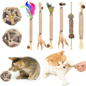 CANPLUS 8{ L ?  lC {[  L Vѓ L̊ߋ lV lC EOVь ^s XgX L̂ mߋ qL ybgpi O