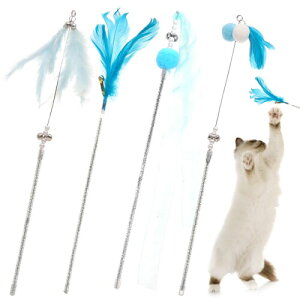 CANPLUS 4{pbN L  lC L炵 t ނ Ĥ H C^NeBuȂ ˂ߋ L L̂ łňS y   ^s 