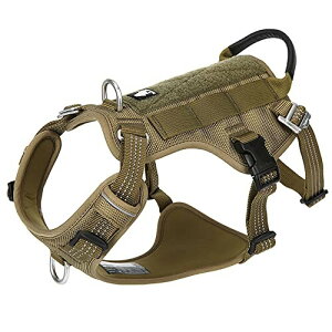 J&C Paradise PROn[lX {KX Ȃ _uH^ ȒP lIvf v X|[c ^ ^p (M,A[~[)