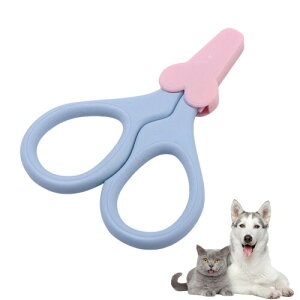 (NyonikoijjRj) L ܐ؂ M` Lܐ؂ SҌ  nT~^  ybgp  XeX ABS LplCPA LplCN[p[ y TNbƐ؂ Rp