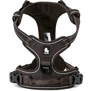 J&C Paradise  n[lX {KX p lC ȒP ʋC ߉\ 3M h~ s⏕ TRUELOVE (S, uE)