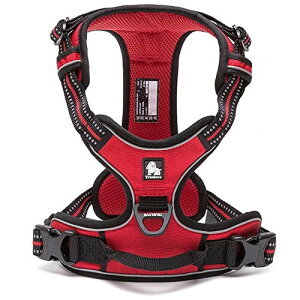 J&C Paradise  n[lX {KX p lC ȒP ʋC ߉\ 3M h~ s⏕ TRUELOVE (S, bh)