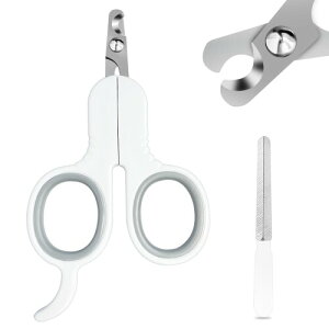 LiruvanaL ܐ؂ ₷ ~ o[Obv  XeXn L ^ Ή ܂₷t