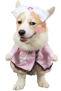 ybgpbg  L RXv nEB ybg  ϑ  ^ ^ ^ 2s (i[X, XL)