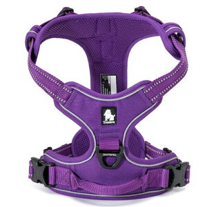 J&C Paradise  n[lX {KX p lC ȒP ʋC ߉\ 3M h~ s⏕ TRUELOVE (S, p[v)