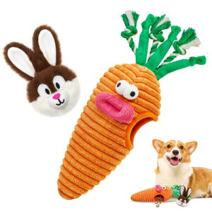 Lepawitڌ̂A^p̂ރpŶA邽߂̃[vt̃C^NeBuȂ킢ETMƃjW