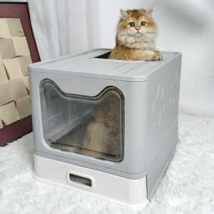 BingoPaw LpgC{ Wt XeX юUȂ ォ tJo[t LbggC h[ t  t[ht o t ^ R[i[  O