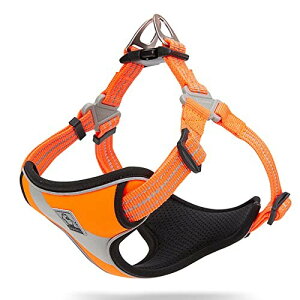 J&C Paradise K n[lX {KX p ȒP ڗ 3M y SȂ  lC v ʋC TRUELOVE (IW, L)